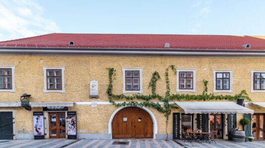 Pethő- oder Goldmark-Haus