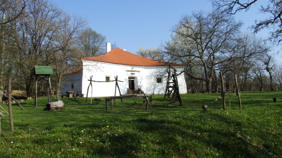 Martinsgans in dem Csillagvár Museum