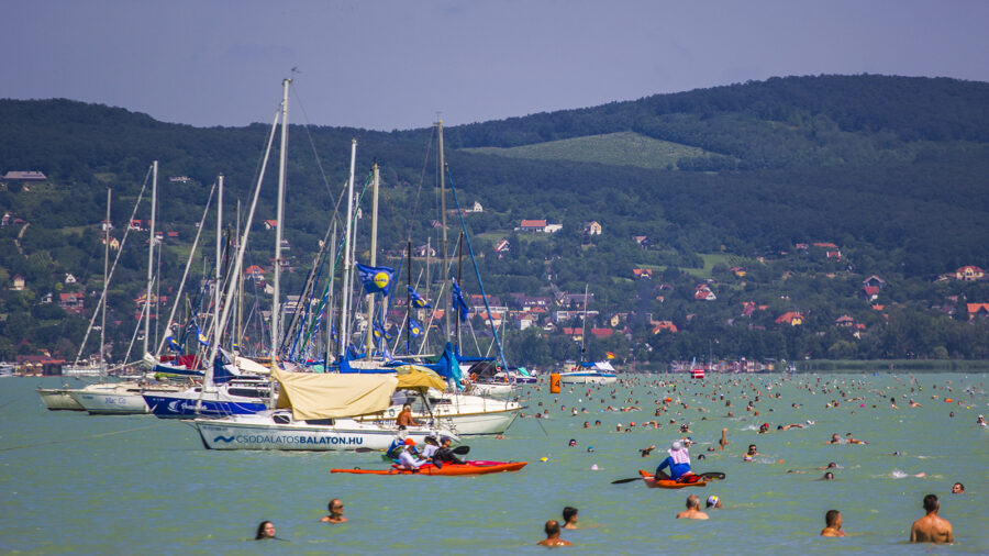 Das Balaton-Durchschwimmen wird am 01. August 2020 ausgetragen
