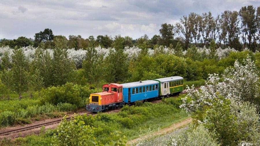 Nach 20 Jahren fährt die Schmalspurbahn wieder nach Csisztapuszta