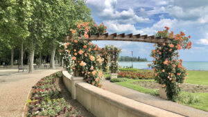 Balatonfüred erwartet die Touristen in Blumenpracht