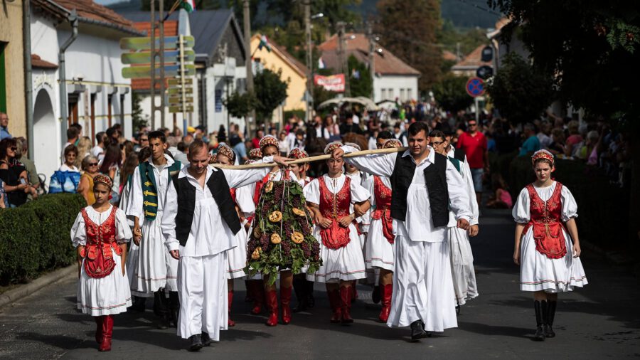 Am Wochenende findet in Badacsony das Weinlese-Festival statt