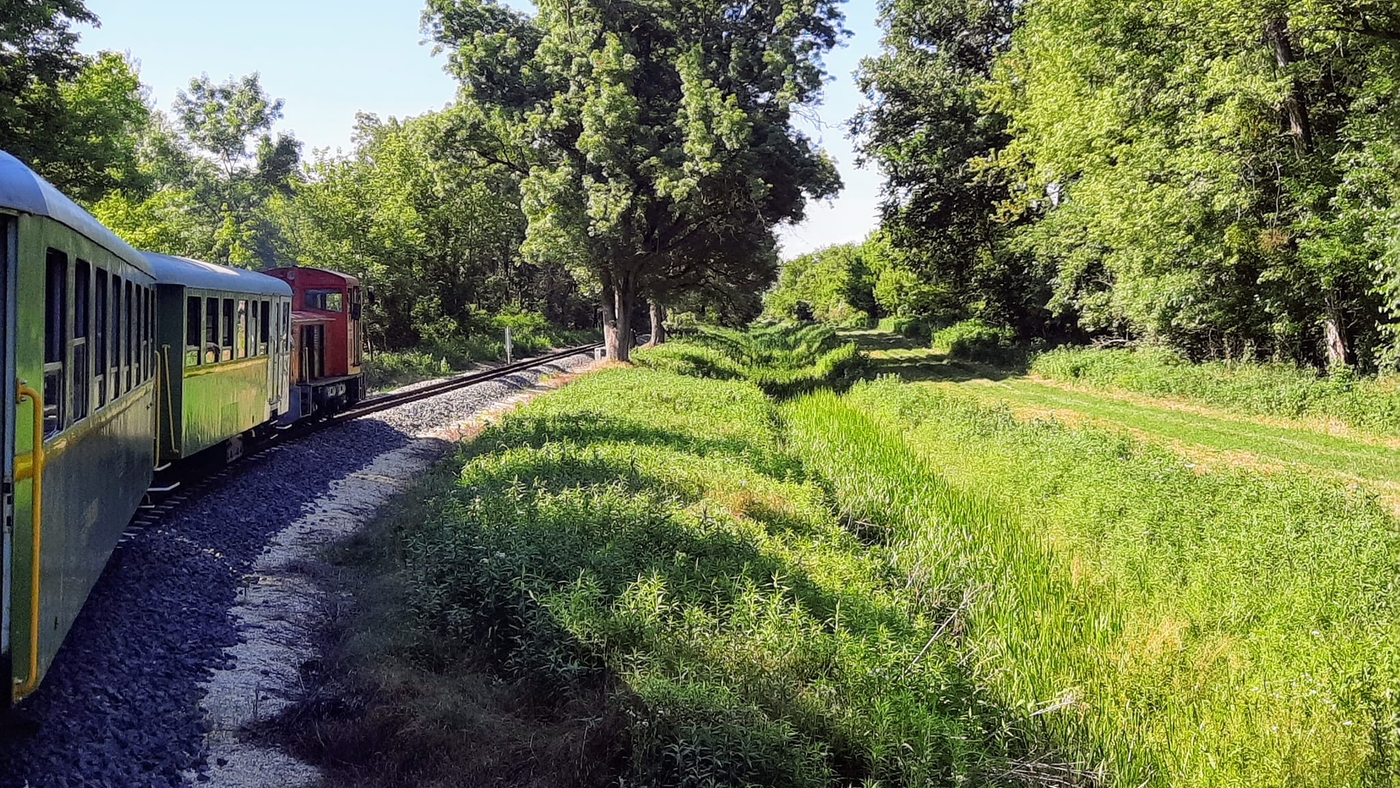 Die Schmalspurbahn Balatonfenyves rollt durch die Landschaften von Nagyberek