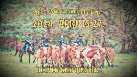 Viehtrieb zum Georgitag 2024, Hegymagas