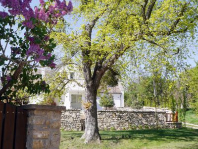 Vászoly: Eine malerische Gemeinde im Herzen des Balaton-Oberlandes